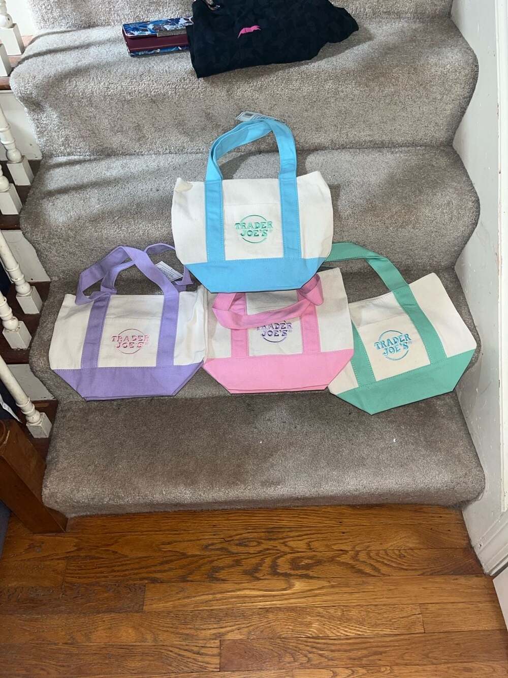 Trader Joe's Mini Pastel Canvas Tote Bags - Set of 4 (2025 Limited Edition)